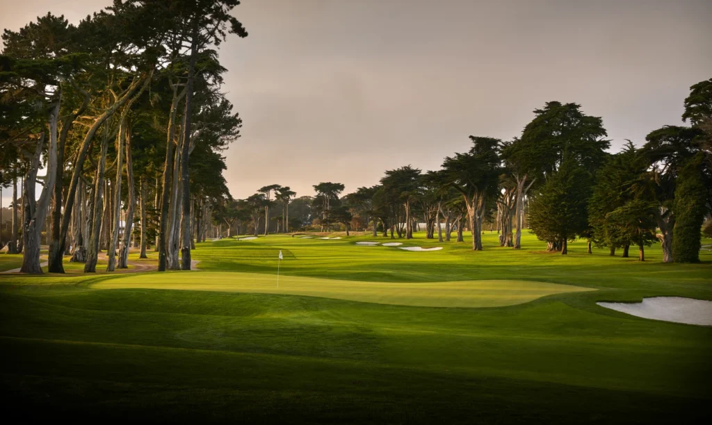 TPC Harding Park set in the beautiful Bay Area